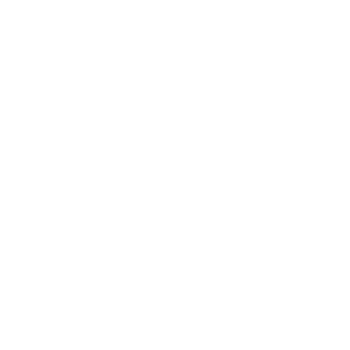 SICHERHEITSDIENST REINACH